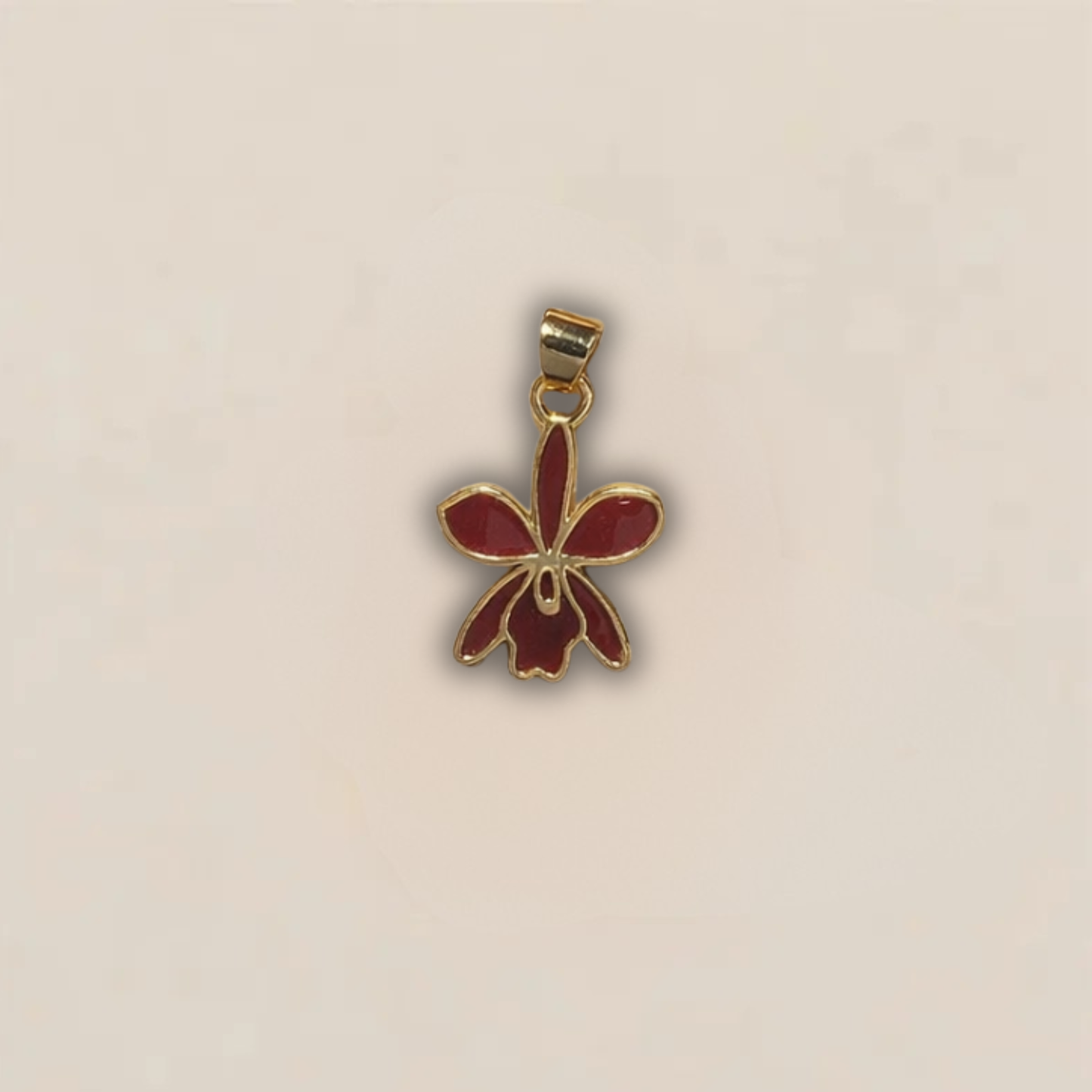 Venezuela Charms