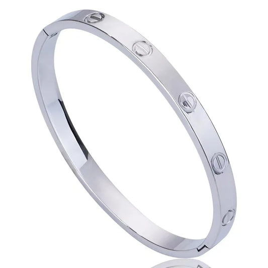 Titanium Steel Bangle